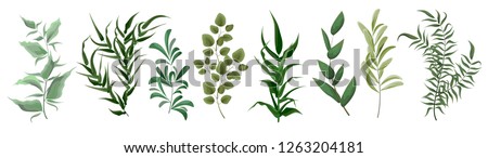 Similar – Image, Stock Photo Fern leaves in different stages: very young and fully developed