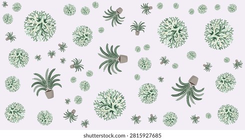 collection of green potted plants in diverse shapes and sizes on a white backdrop perfect for botanical, nature, decoration or eco-friendly themes