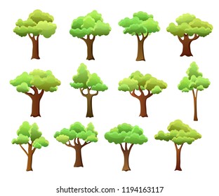 Collection of green trees isolated on white background, vector set, clipart. Forest trees, park