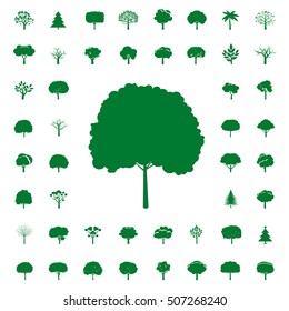 Collection of Green Trees. Vector icons.
