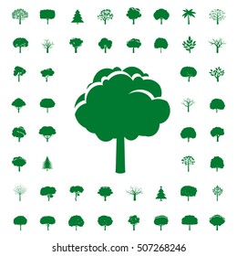 Collection of Green Trees. Vector icons.