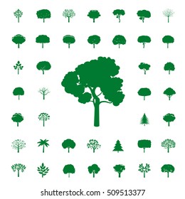 Collection of Green Trees. Vector icons.