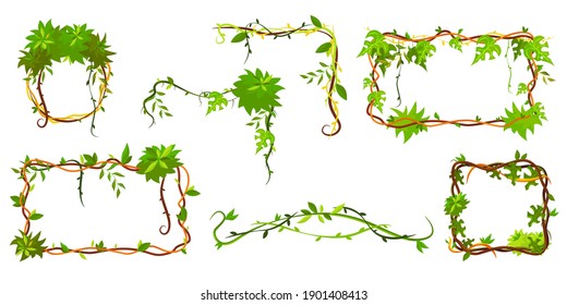 Collection of green tropical frame. Cartoon frame shaped lianas, jungle plant branches with leaves, borders with copy space. Isolated vector illustration for nature, organic decor, game concept