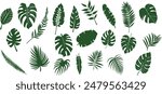A collection of green tropical leaves in various shapes and sizes, including monstera, palm, and fern leaves, arranged in a seamless pattern on a white background.