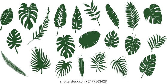 A collection of green tropical leaves in various shapes and sizes, including monstera, palm, and fern leaves, arranged in a seamless pattern on a white background.