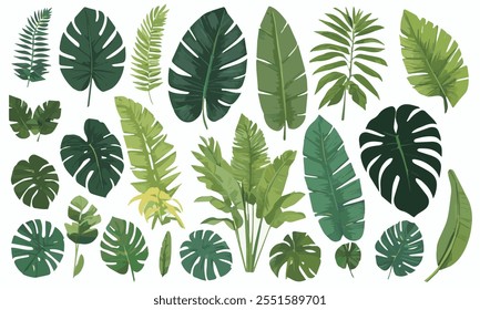 A collection of green tropical leaves in various shapes and sizes, including monstera, palm, and fern leaves, arranged in a seamless pattern on a white background.  Vector illustration