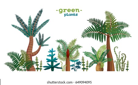 Collection of green tropical plants on a white background. Vector nature illustration. 