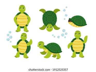 Collection of green turtle characters. Funny cartoon characters of turtles in various poses.