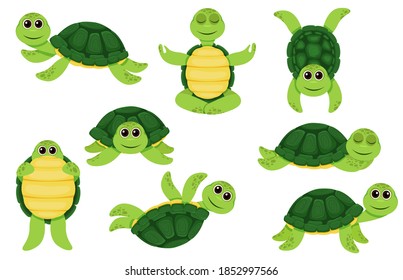 Collection Green Turtle Characters Little Turtles Stock Vector (Royalty ...