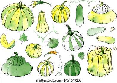 Collection of green yellow autumn pumpkin doodles. Fall harvest. Vector stock set. Cute icons with watercolor texture. Can be used for printed materials. Food background. Hand drawn design elements. 