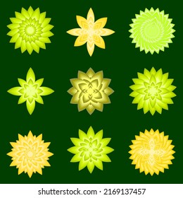 Collection of greenery botanical florist icon element for decorative abstract background pattern vector illustration