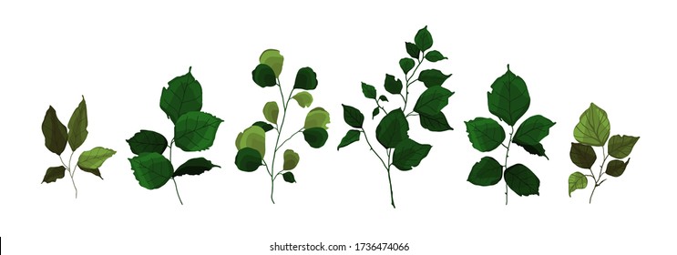 Collection of greenery branch leaves plant forest herbs tropical twigs spring flora in watercolor style. Vector botanical decorative illustration for wedding invitation card