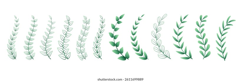 a collection of greenery herb leaves branch design vector