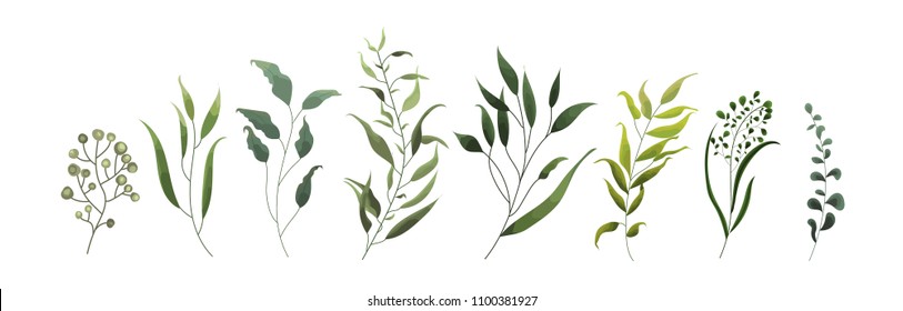 Collection of greenery leaf plant forest herbs tropical leaves spring flora in watercolor style. Vector botanical decorative illustration for invitation card