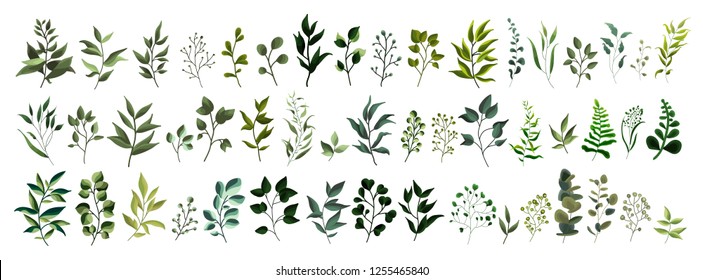Collection of greenery leaf plant forest herbs tropical leaves spring flora in watercolor style. Vector botanical decorative illustration for wedding invitation card