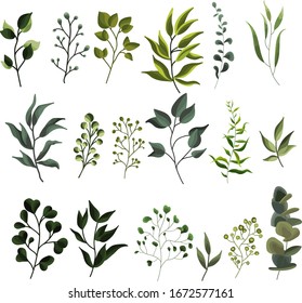 Kollektion von Grünblattpflanzenkräutern tropische Blätter Frühlingsflora im Aquarell-Stil. Vektorillustration botanische dekorative Illustration für Hochzeits-Einladungskartendesign.