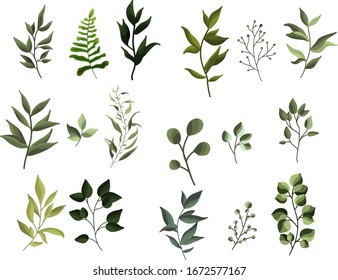 Collection of greenery leaf plant forest herbs tropical leaves spring flora in watercolor style. Vector botanical decorative illustration for wedding invitation card element design.
