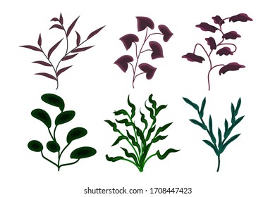 Collection of greenery leaf plant forest herbs tropical leaves spring flora vector illustration