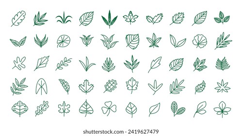 Collection of greenery leaf plant forest herbs tropical leaves icons