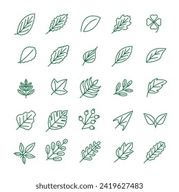 Collection of greenery leaf plant forest herbs tropical leaves icons