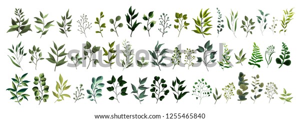 緑葉植物林の草本の集まりで 熱帯の葉の春の花を水彩で彩る 結婚式の招待状用ベクター植物の装飾イラスト のベクター画像素材 ロイヤリティフリー