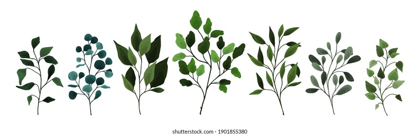 Collection of greenery leaves branch twig flora plants. Floral watercolor wedding objects, botanical foliage. Vector elegant  herbal spring illustration for invitation card