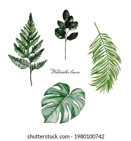 Collection of greenery leaves in watercolor style