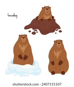 Collection Groundhogs. Rodent animal sad in snow, marmot stands and looks out of hole. Cute Isolated characters for Groundhog Day holiday design on February 2. vector illustration