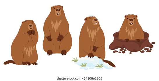 Collection Groundhogs. Rodent animal in snow, marmot stands and looking out of an earthen hole. Cute Isolated characters for Groundhog Day holiday design on February 2. vector illustration.