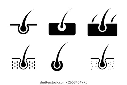 Collection of Hair care, follicle icon. Root growth care icon set vector illustration isolated on white background. 
