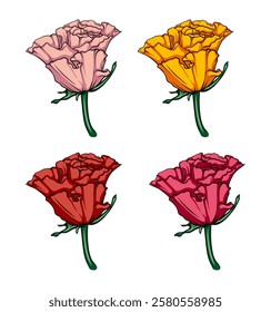 collection of half-opened multi-colored rose buds, vector image of a rose flower in a minimalist style, hand drawn illustration for creative projects or logo