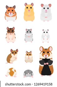 collection of hamster breeds