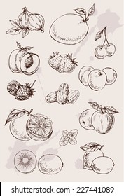 collection of  hand drawing isolated  fruits