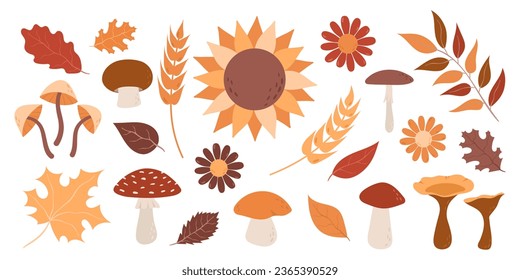 Collection of hand drawn autumn elements. Autumn leaves, mushrooms, flowers, berries.