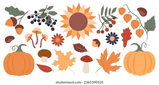 Collection of hand drawn autumn elements. Autumn leaves, mushrooms, flowers, berries.