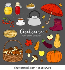 Collection of hand drawn autumn items isolated on chalkboard background with lettering.