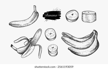 A collection of hand drawn banana illustrations showing whole bananas, peeled bananas, and sliced bananas.