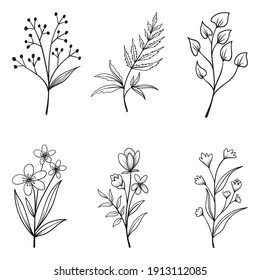 Collection of hand drawn beautiful herbs and wild flowers and leaves isolated on white background.