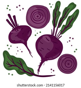 Colección de remolacha dibujada a mano. Paquete de deliciosos productos vegetarianos de dieta vegetariana frescos, comida saludable saludable saludable, ingredientes de cocina. Estilo de caricatura plano sobre un fondo blanco. Ilustración del vector