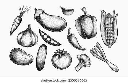 Eine Sammlung von handgezeichneten schwarz-weißen Illustrationen, die eine Vielzahl von frischen Gemüsen darstellen.