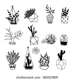 Collection of hand drawn black and white cactus and succulents. Vector set with succulents flowers, concrete pots and glass terrariums. Vector illustration.