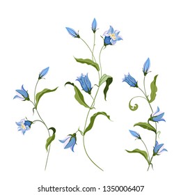 Colección de flor de campana azul dibujada a mano, composición para el diseño sobre fondo blanco. Ilustración del vector