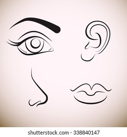 Collection of hand drawn body parts isolated on white background. VECTOR illustration.