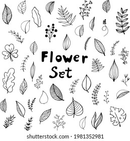 Collection of hand drawn botanical doodle set. Vector floral decorative hand drawn doodle set. Samples of vector leaves and branches.