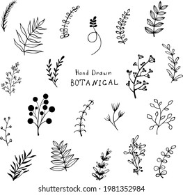 Collection of hand drawn botanical doodle set. Vector floral decorative hand drawn doodle set. Samples of vector leaves and branches.