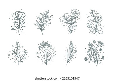 Collection of hand drawn botanical flower composition. Tropical floral doodle branches.