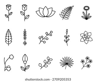 Collection of hand drawn botanical illustrations of flowers leaves and plants