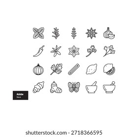 Collection of hand drawn botanical line art featuring various herbs and spices