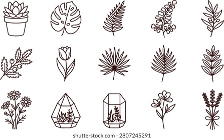 Collection of hand drawn botanical line featuring various potted succulents, tropical leaves, flowers, and glass terrariums