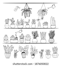 Collection of hand drawn cacti. Big set cute of hand drawn house plants in pots including cactus, dracena, aloe and others, and garden tools. Vector collection of doodle plants.
